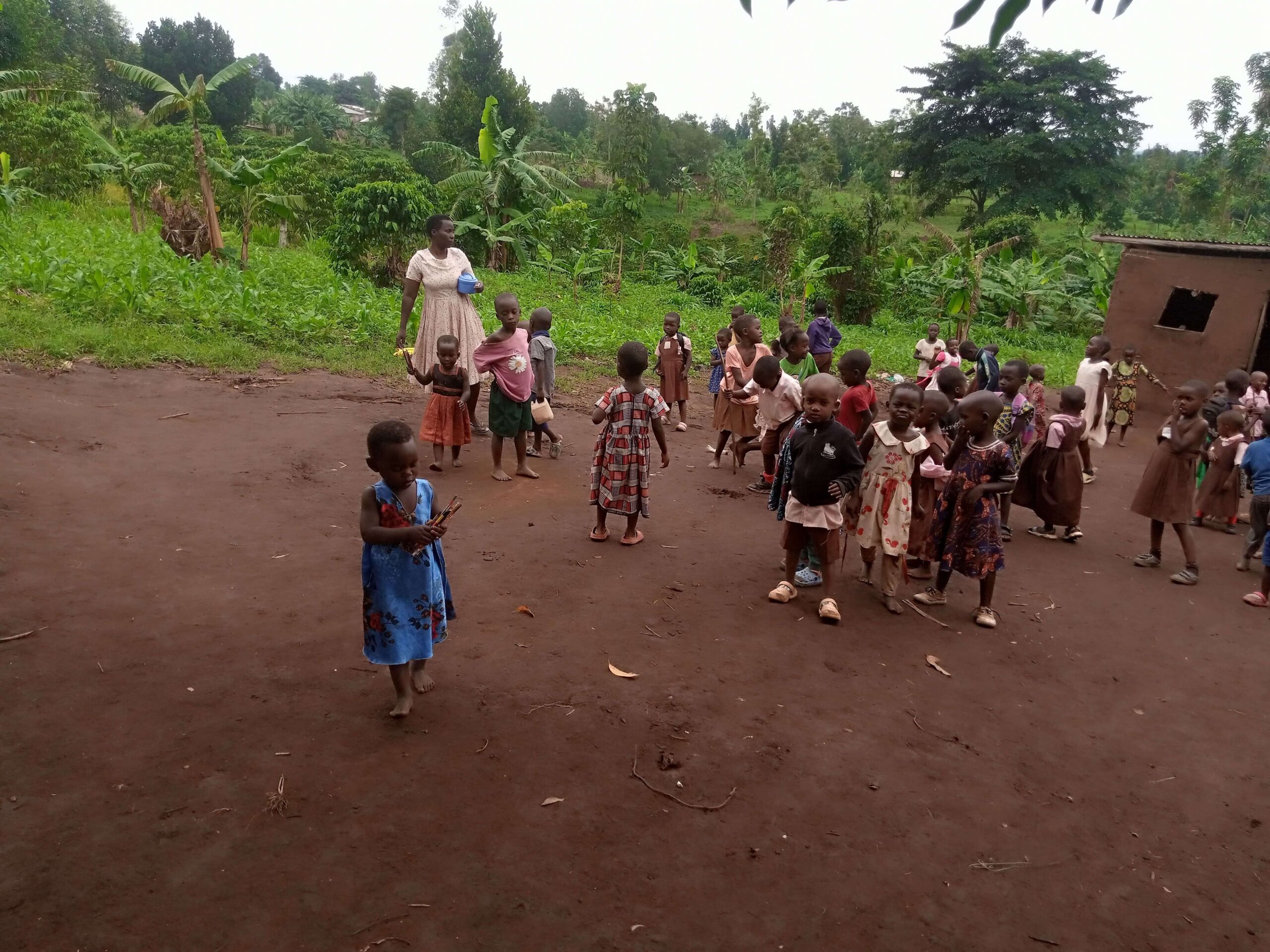 The Hill View School community